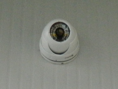 DSCN1385 l